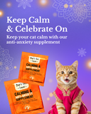 Festive Gift Box for Cats