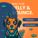 Thrive Real Tuna- Adult Dog Dry Food - All Breeds