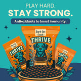 Thrive Real Chicken - Adult Dog Dry Food - All Breeds