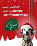 Christmas Edition: Protein Bar for Dogs (35 g)