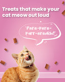 Cat Pillows - Sensitive Gut Cat Treats