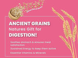 Chicken & Ancient Grains - Adult Dog Dry Food for Medium & Large Breed (9.8 kg)
