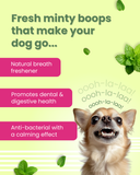 Dental Chews for Dogs - Gluten Free Treats (100 gm)