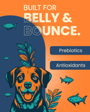Thrive Real Tuna- Adult Dog Dry Food - All Breeds