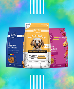 Dog img1
