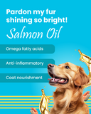 Chicken & Tuna Chunks in Gravy Food - Adult Dogs | All Breeds - 85g