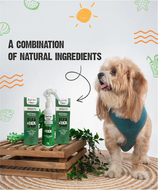 Grooming Essential Combo Anti Microbial Spray Anti Allergy and Itch Bark Out Loud by Vivaldis