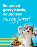 Mackerel & Duck Chunks in Gravy Food - Adult Cats | All Breeds - 85g