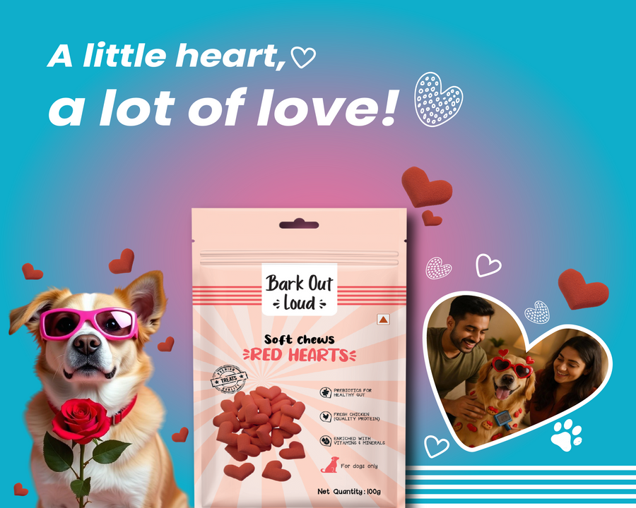 Bark Out Loud by Vivaldis 