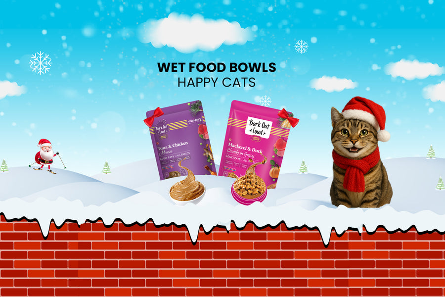 Bark Out Loud by Vivaldis 