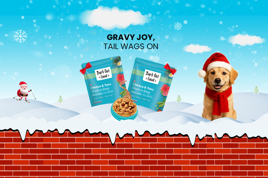 Bark Out Loud by Vivaldis 