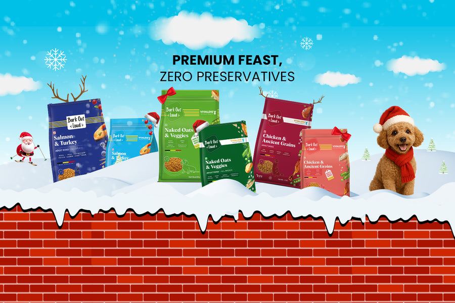 Bark Out Loud by Vivaldis 