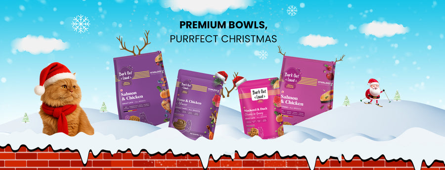 Bark Out Loud by Vivaldis 