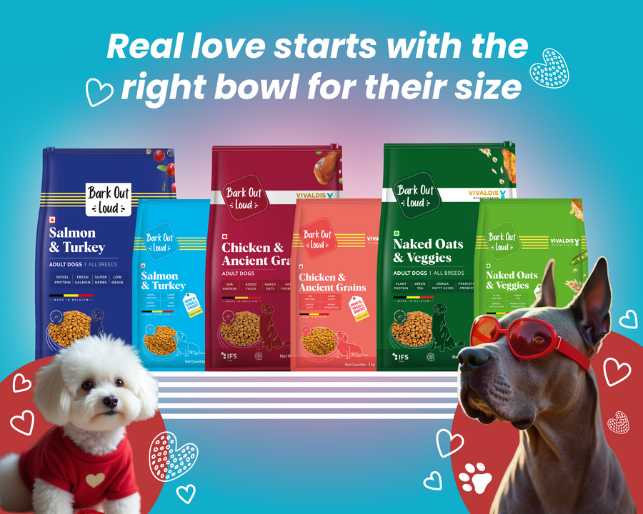 Bark Out Loud by Vivaldis 