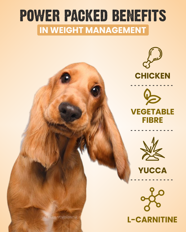 Dog sales weight management