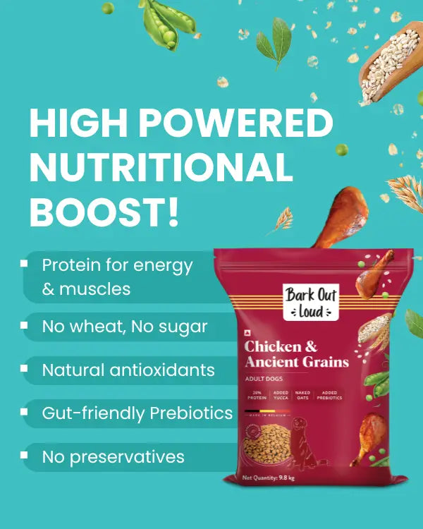 Chicken & Ancient Grains Dog food Medium/ Large Breed and Mini/ Small Breed