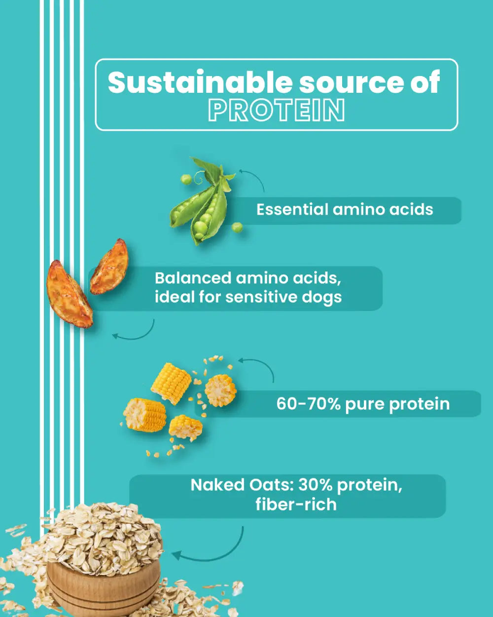 Naked Oats & Veggies - Medium and Large Breed and Mini and Small Breed