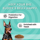 ESSENTIALS Adult Dry Dog Food  - Medium & Large Breed