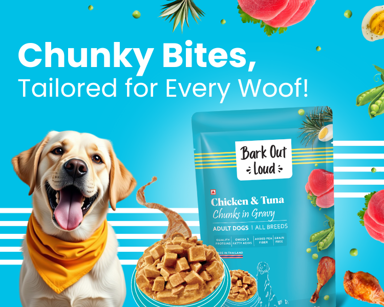 Bark Out Loud by Vivaldis 