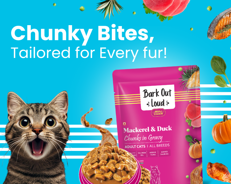 Bark Out Loud by Vivaldis 