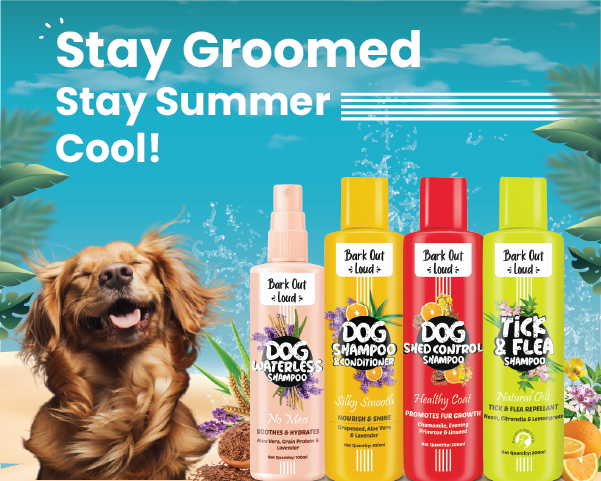 Bark Out Loud by Vivaldis 