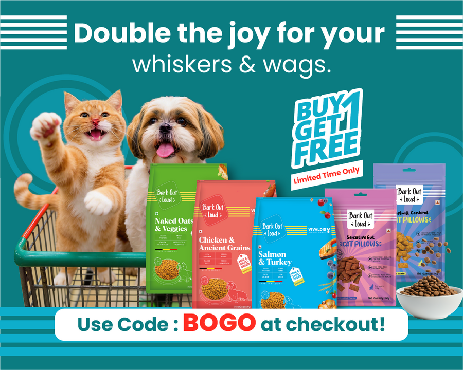 Bark Out Loud by Vivaldis 