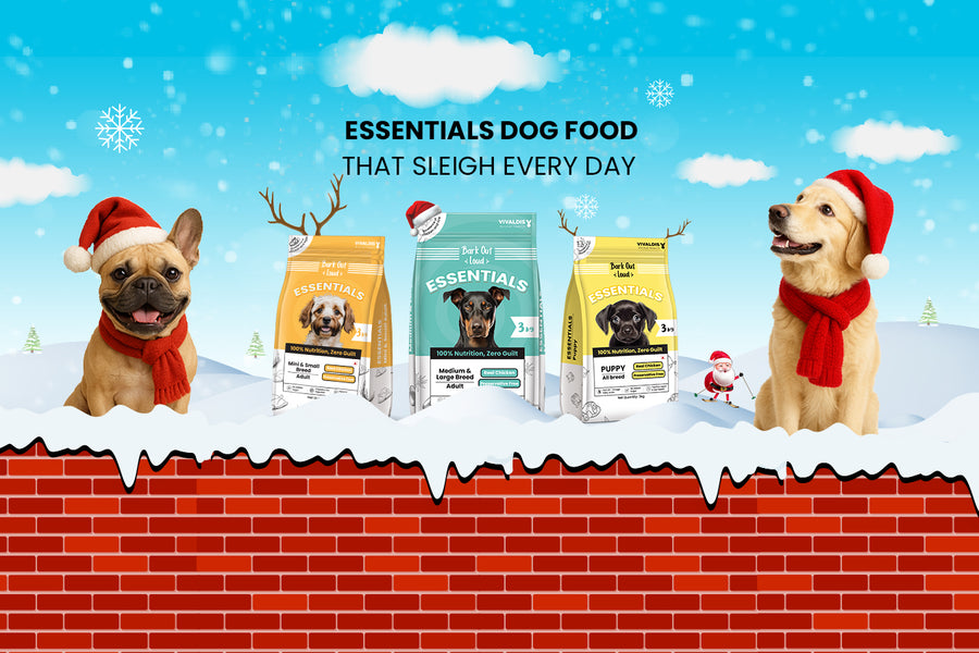 Bark Out Loud by Vivaldis 