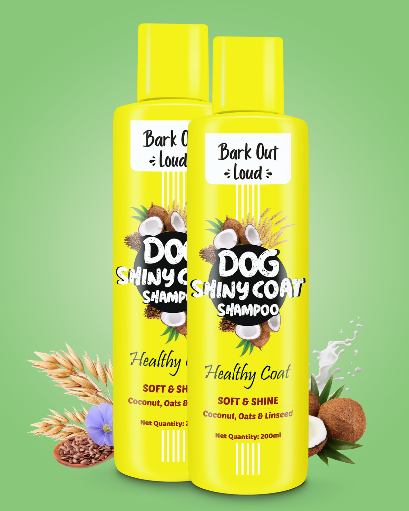 Bark Out Loud: Dog Shiny Coat Shampoo (1 N x 200ml) – Bark Out