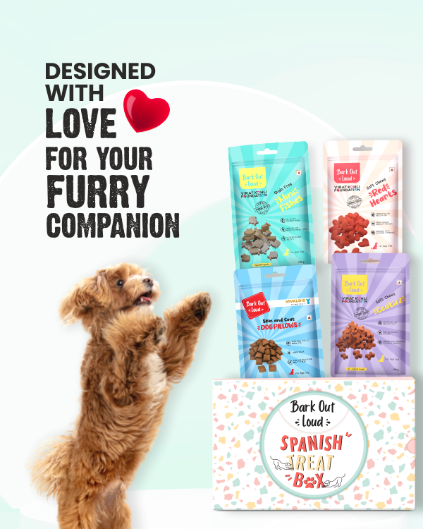 Spanish Treat Box Perfect Gifting Option Bark Out Loud by Vivaldis