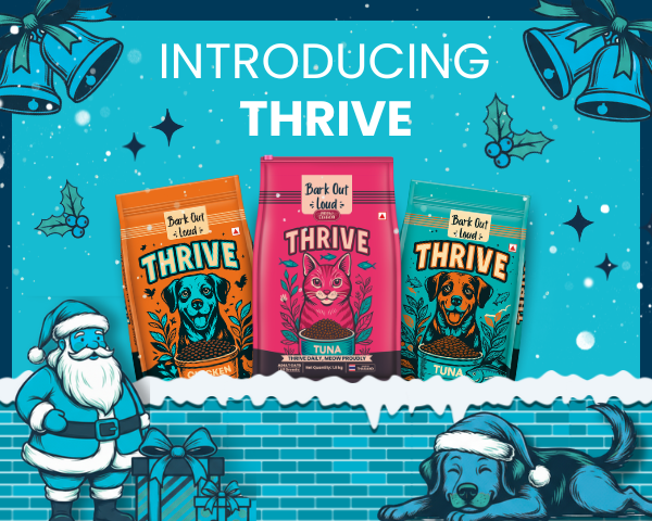 Bark Out Loud by Vivaldis 