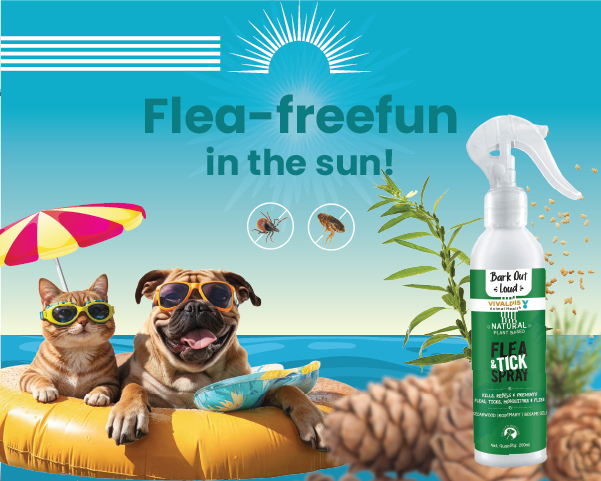 Bark Out Loud by Vivaldis 