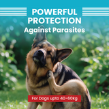 VI-FI Forte 4.02 ml - Single Pipette - Spot on Solution for Prevention & Effective Control of Flea, Tick & Chewing Lice Treatment for Dogs Weighing from 40 to 60 kg