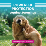 Spot On for Dogs 20-40kg - VI-FI Forte 2.68ml Single Pipette – Solution for The Prevention and Treatment of Flea, Tick, and Chewing Lice Infestations (Pack of 1)