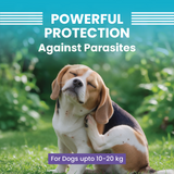 VI-FI Forte 1.34 ml - Single Pipette - Spot on Solution for Prevention & Effective Control of Flea, Tick & Chewing Lice Treatment for Dogs Weighing from 10 to 20 kg (Pack of 1)