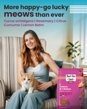 Salmon & Chicken - Kitten Dry Cat Food (1 kg)