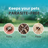 VI-FI Forte 4.02 ml - Single Pipette - Spot on Solution for Prevention & Effective Control of Flea, Tick & Chewing Lice Treatment for Dogs Weighing from 40 to 60 kg
