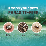 VI-FI Forte 0.67 ml - Spot on Solution for Prevention & Effective Control of Flea, Tick & Chewing Lice Treatment for Dogs Weighing Upto 10kg