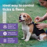 VI-FI Forte 1.34 ml - Single Pipette - Spot on Solution for Prevention & Effective Control of Flea, Tick & Chewing Lice Treatment for Dogs Weighing from 10 to 20 kg (Pack of 1)