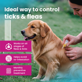 Spot On for Dogs 20-40kg - VI-FI Forte 2.68ml Single Pipette – Solution for The Prevention and Treatment of Flea, Tick, and Chewing Lice Infestations (Pack of 1)