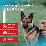 VI-FI Forte 4.02 ml - Single Pipette - Spot on Solution for Prevention & Effective Control of Flea, Tick & Chewing Lice Treatment for Dogs Weighing from 40 to 60 kg