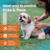 VI-FI Forte 0.67 ml - Spot on Solution for Prevention & Effective Control of Flea, Tick & Chewing Lice Treatment for Dogs Weighing Upto 10kg