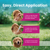 Spot On for Dogs 20-40kg - VI-FI Forte 2.68ml Single Pipette – Solution for The Prevention and Treatment of Flea, Tick, and Chewing Lice Infestations (Pack of 1)