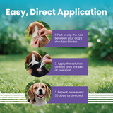 VI-FI Forte 1.34 ml - Single Pipette - Spot on Solution for Prevention & Effective Control of Flea, Tick & Chewing Lice Treatment for Dogs Weighing from 10 to 20 kg (Pack of 1)