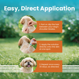 VI-FI Forte 0.67 ml - Spot on Solution for Prevention & Effective Control of Flea, Tick & Chewing Lice Treatment for Dogs Weighing Upto 10kg