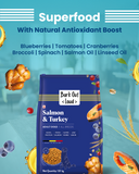Salmon & Turkey - Adult Dog Dry Food for Medium & Large Breed