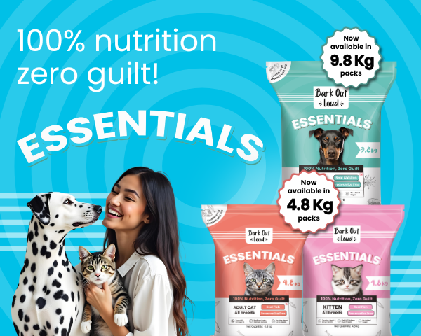 Bark Out Loud by Vivaldis 