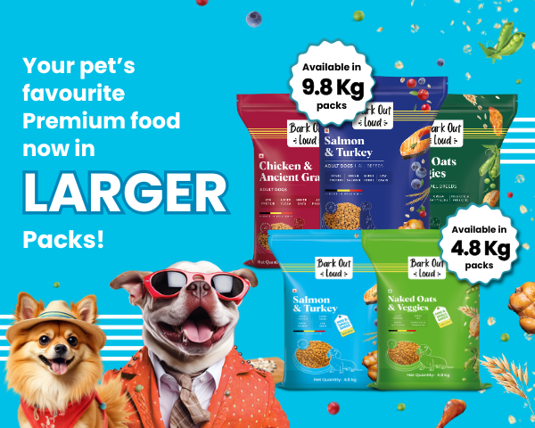 Bark Out Loud by Vivaldis 