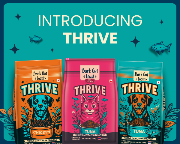 Bark Out Loud by Vivaldis 