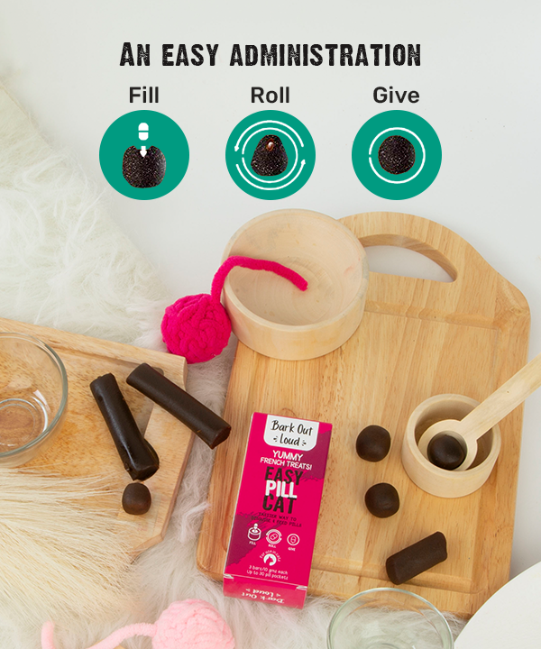 Diy pill pockets clearance for cats