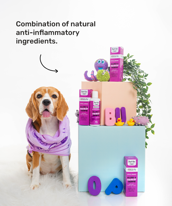 Hypoallergenic Dog Shampoo & Best Allergy Itch Relief Shampoo for Cats